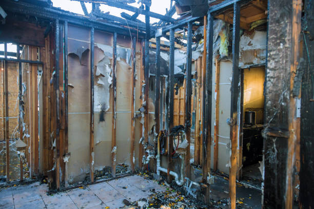 Professional Fire Damage Repair technician working in Clifton, AZ