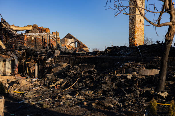 Reliable Fire Damage Repair contractor in Clifton, AZ by Fire Damage Doption